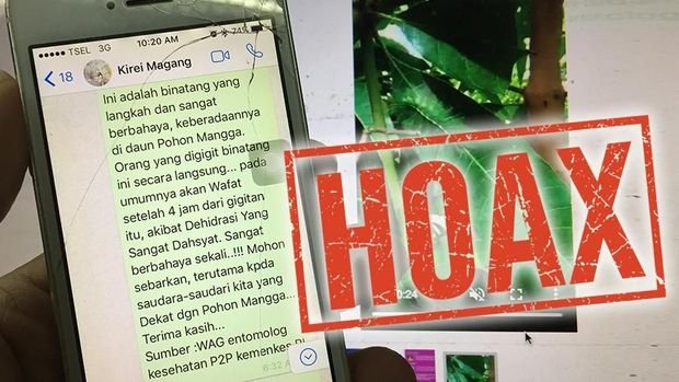Sering Muncul di WhatsApp: Hoaks Kesehatan yang Masih Dipercaya Banyak Orang